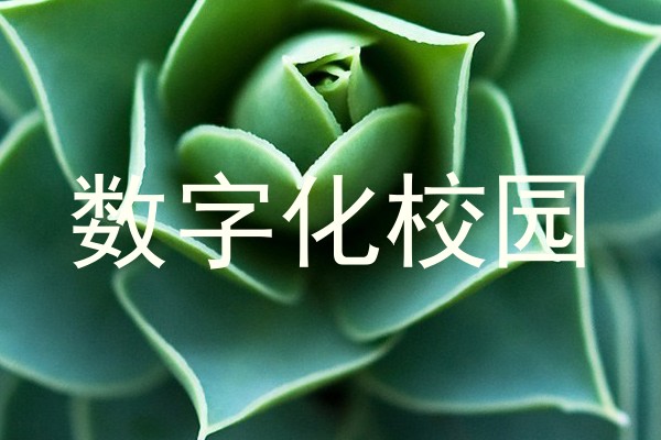 数字化校园