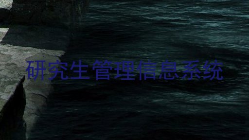 研究生管理信息系统