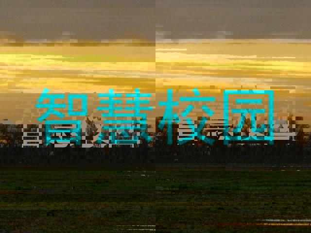 智慧校园