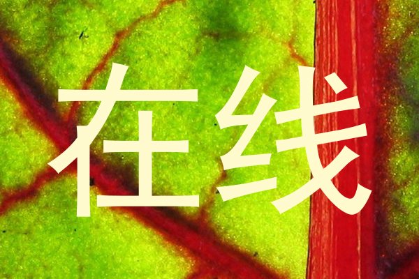 在线