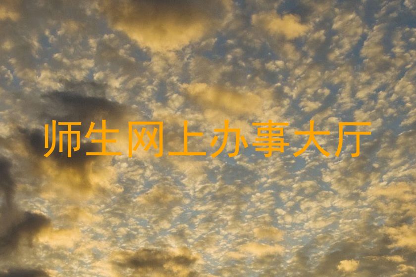 师生网上办事大厅