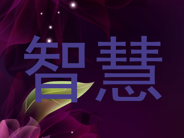 智慧