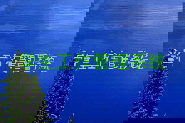 学生工作管理系统
