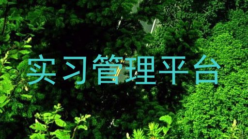 实习管理平台