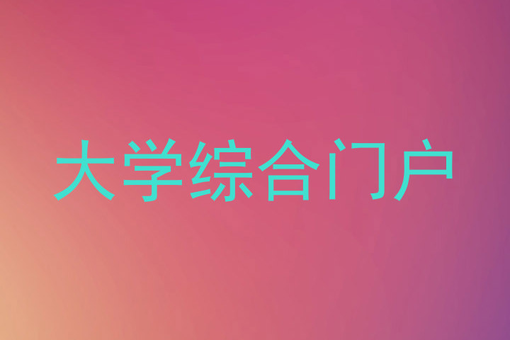大学综合门户