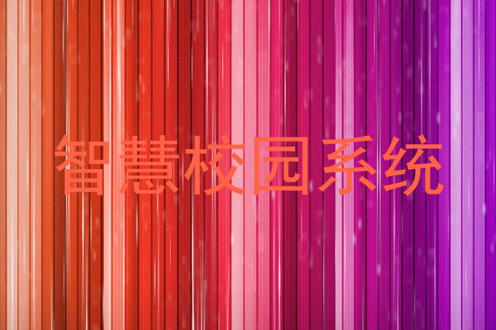 智慧校园系统