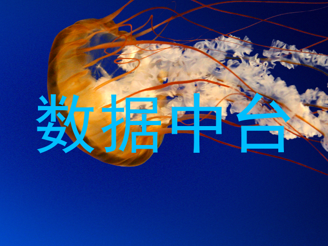 数据中台