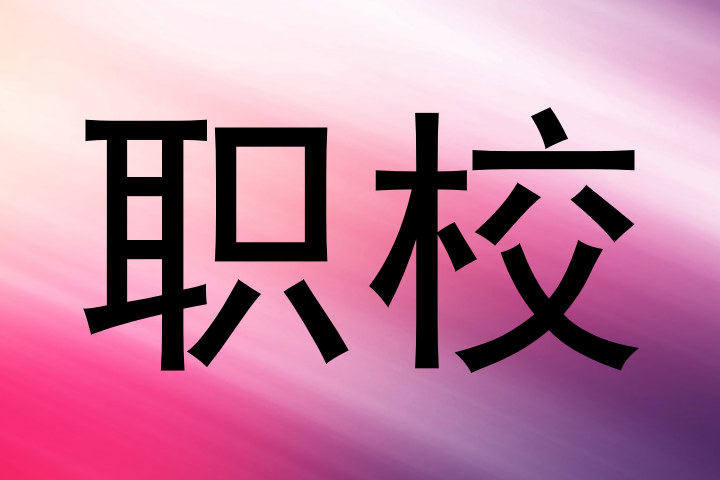 职校