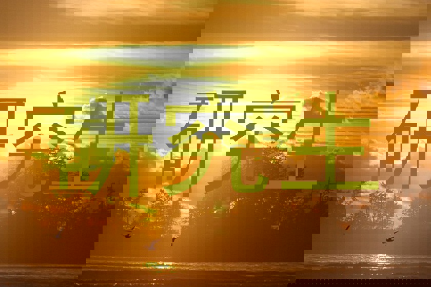 研究生