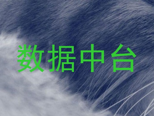 数据中台
