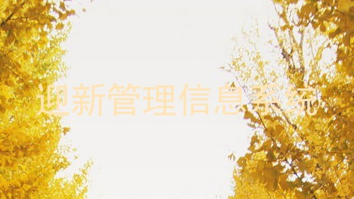 迎新管理信息系统