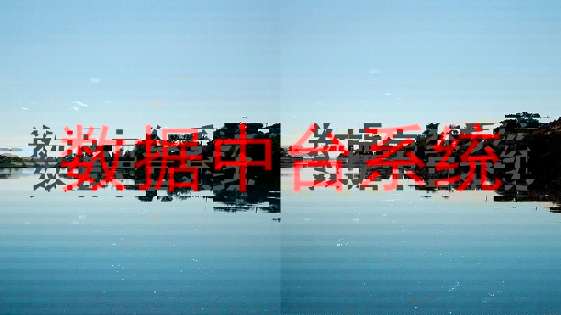 数据中台系统