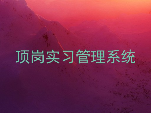 顶岗实习管理系统