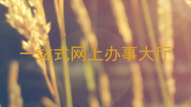 一站式网上办事大厅