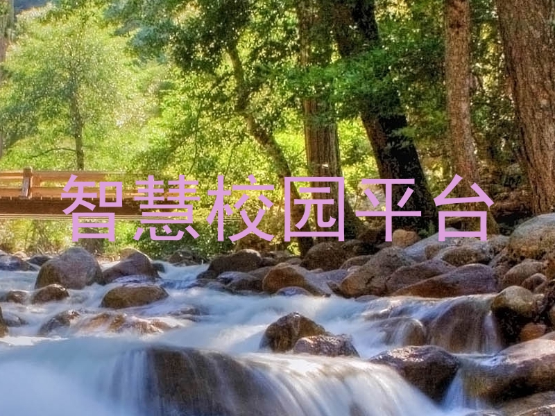 智慧校园平台