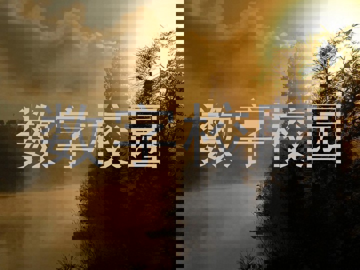 数字校园