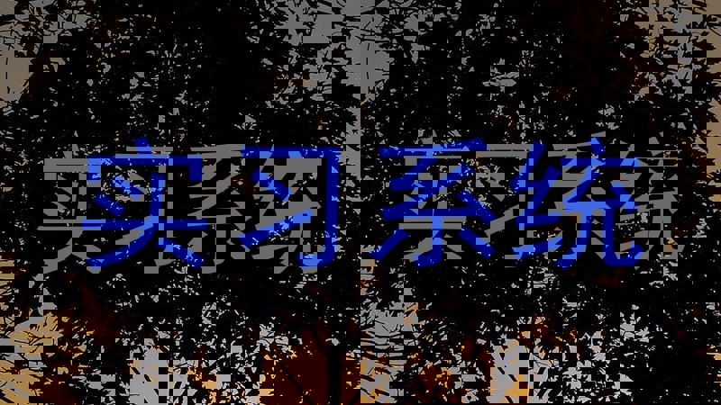 实习系统