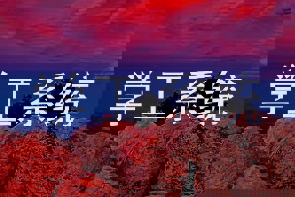 学工系统
