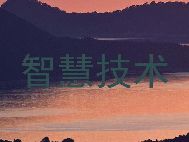 智慧技术