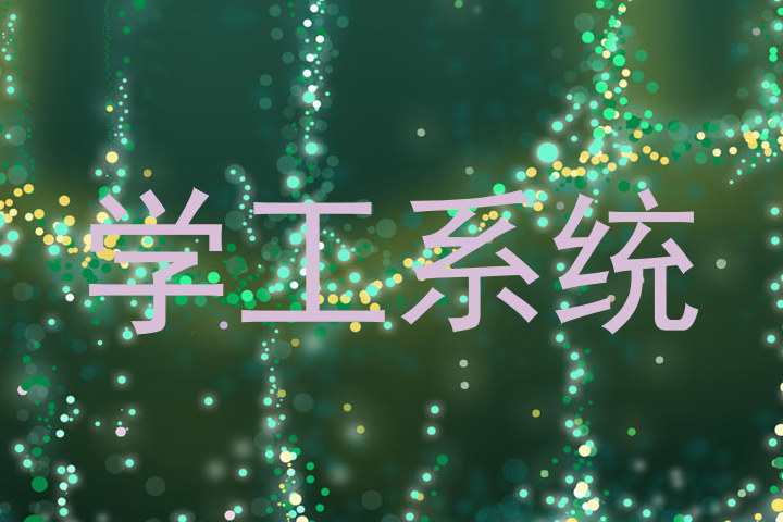 学工系统