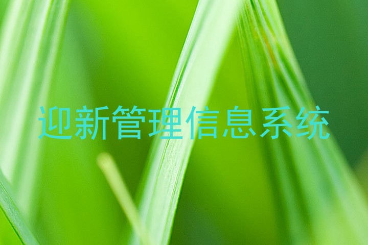 迎新管理信息系统