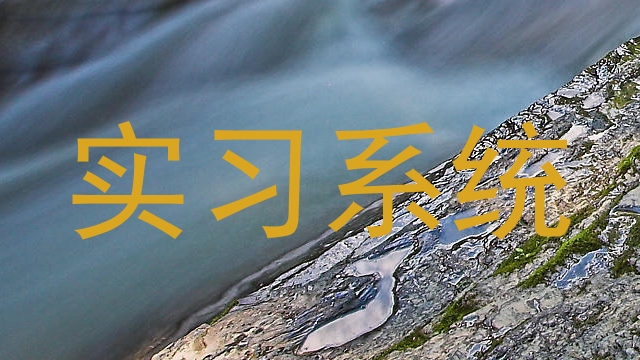 实习系统