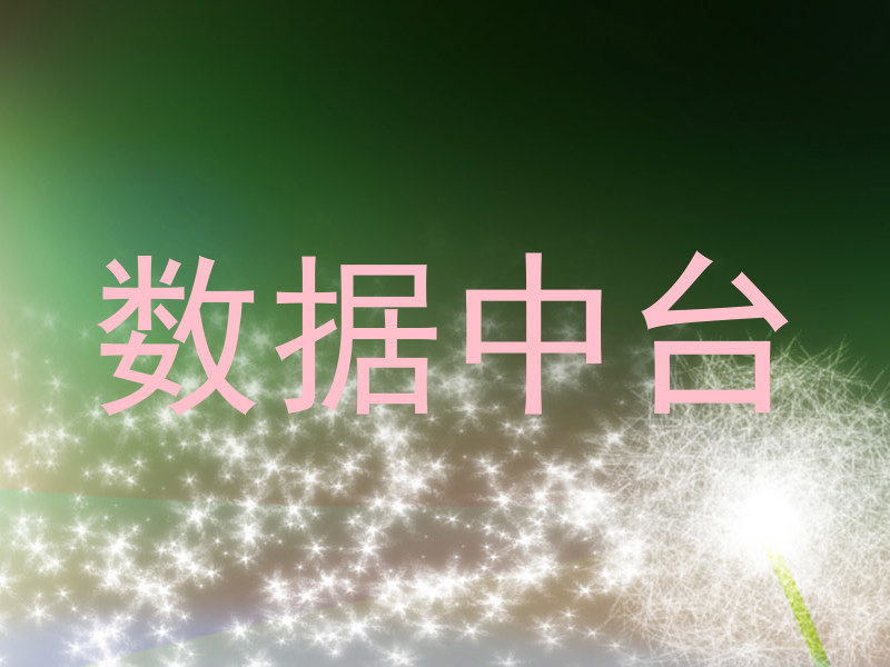 数据中台