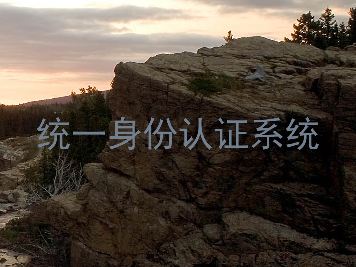 统一身份认证系统