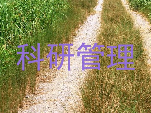 科研管理