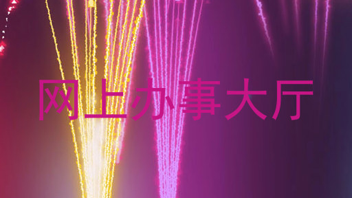 网上办事大厅