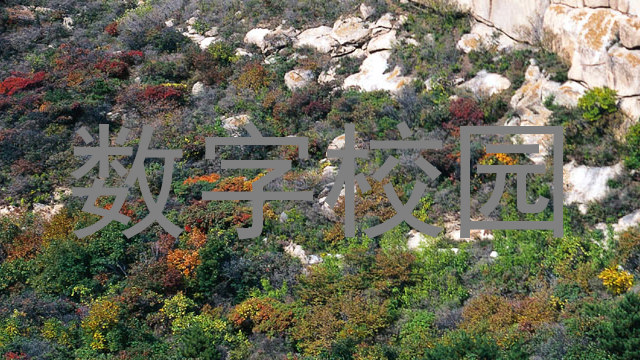 数字校园