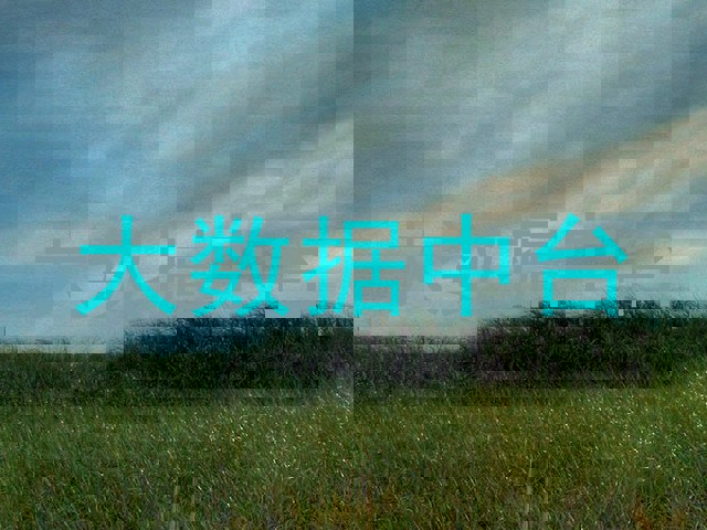 大数据中台