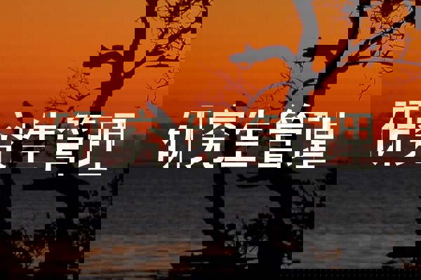 研究生管理