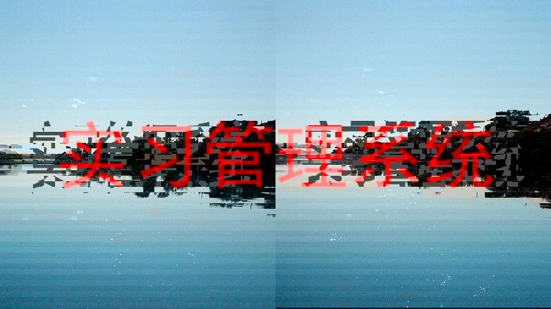 实习管理系统