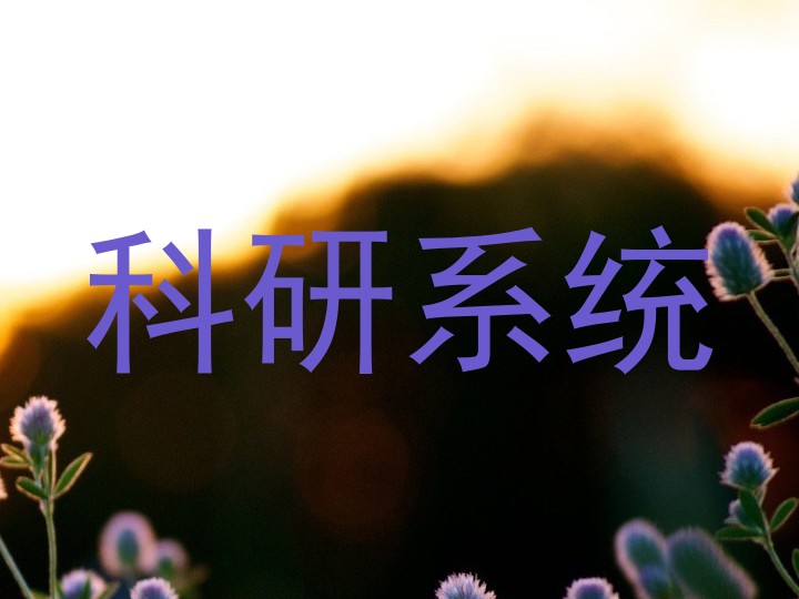 科研系统