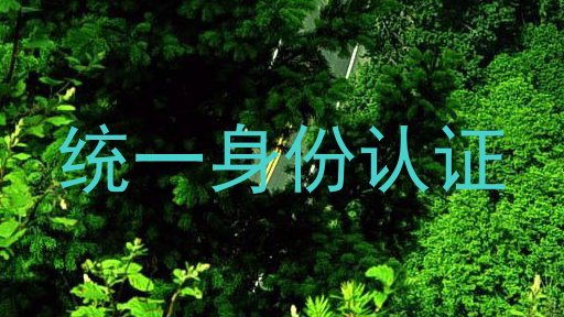 统一身份认证