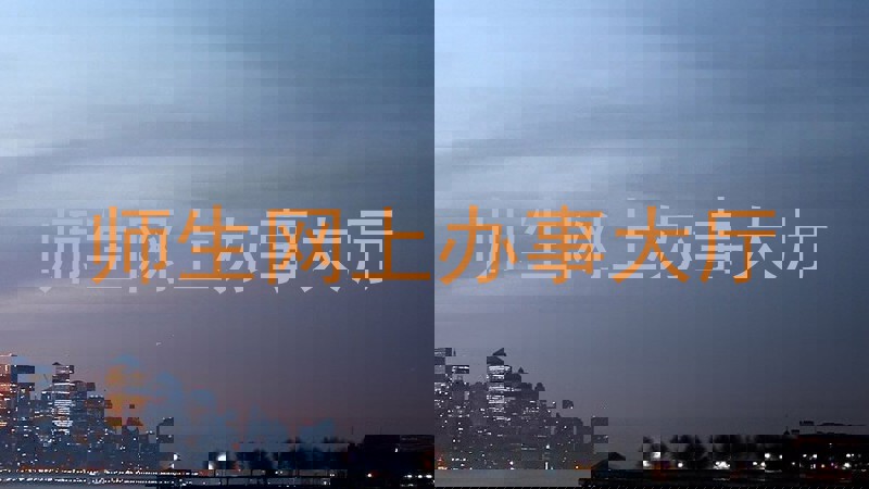 师生网上办事大厅