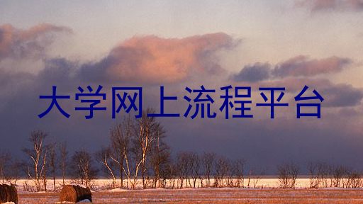 大学网上流程平台