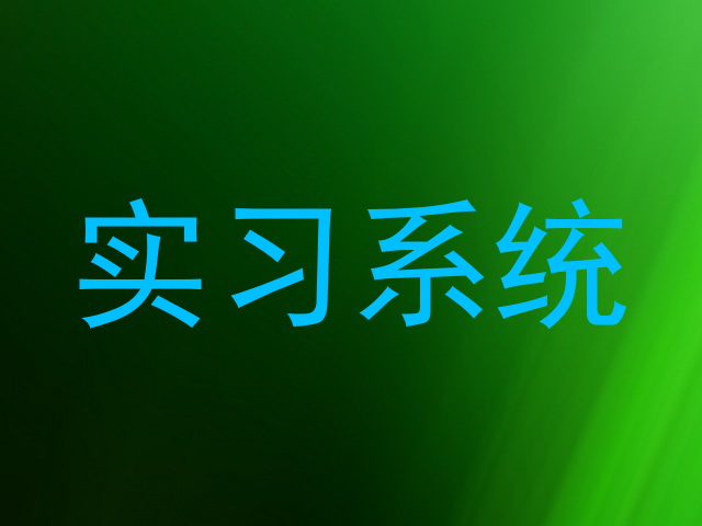 实习系统