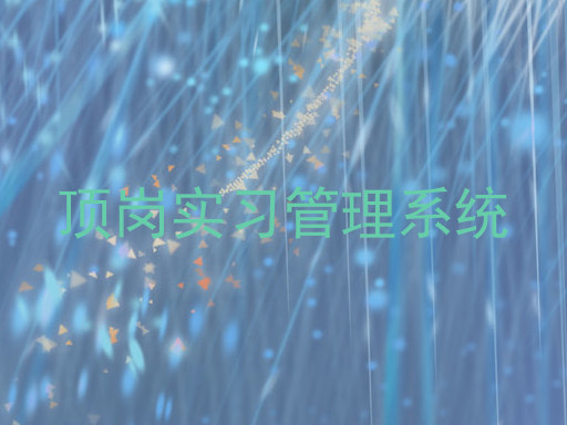 顶岗实习管理系统