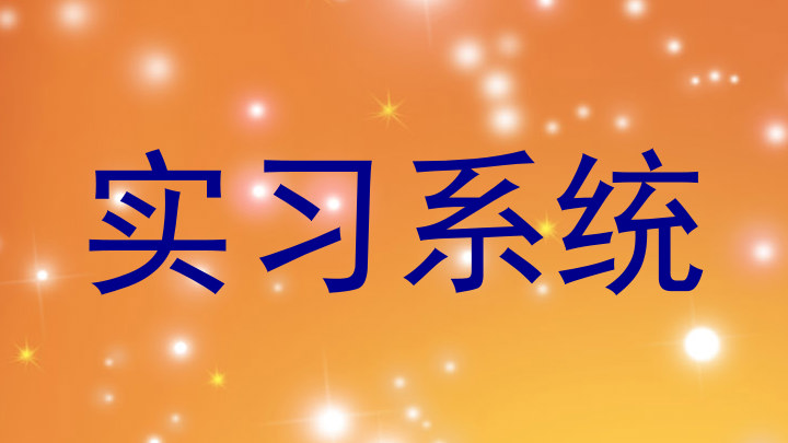 实习系统