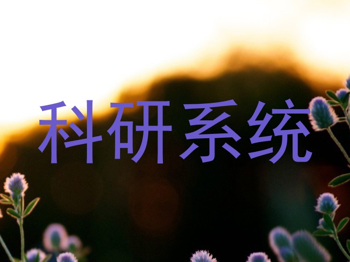 科研系统