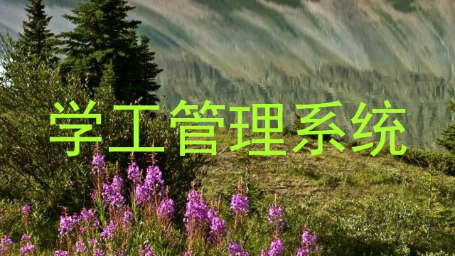 学工管理系统