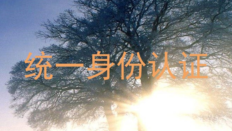 统一身份认证