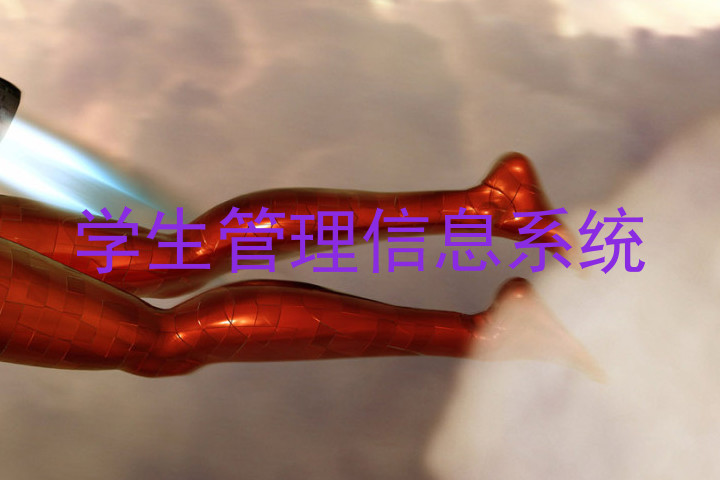 学生管理信息系统