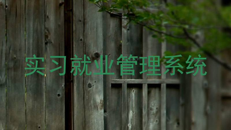 实习就业管理系统