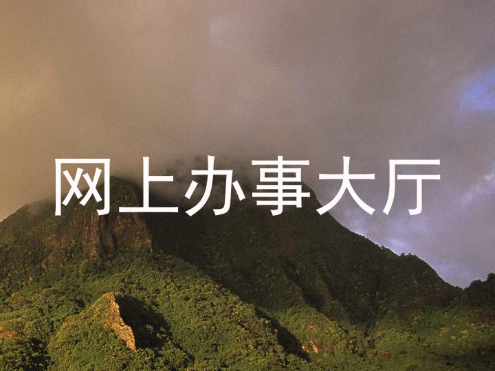 网上办事大厅