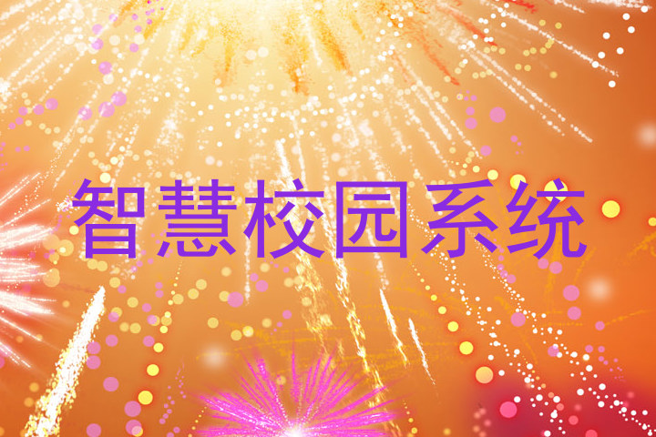 智慧校园系统
