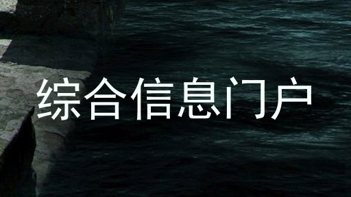 综合信息门户