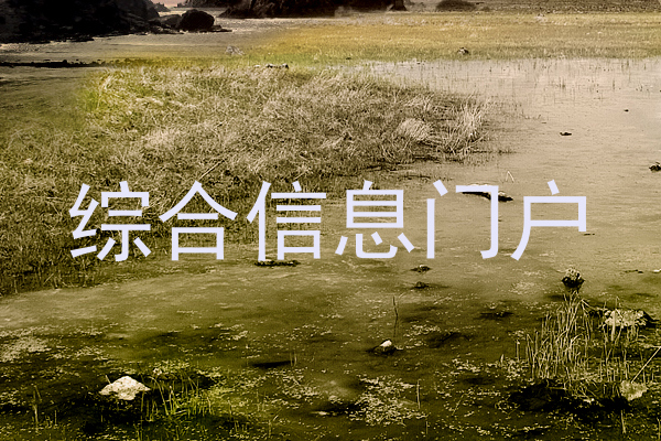 综合信息门户